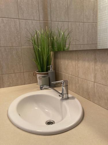 a bathroom sink with a faucet and a plant at Levendula Apartmanház in Gyomaendrőd