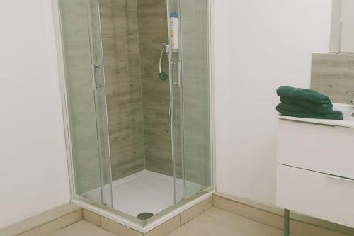 une douche avec une porte vitrée dans une salle de bain dans l'établissement BudgetBnb 163 appart mezzanine clim, à Toulon