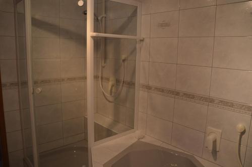 um chuveiro com uma porta de vidro na casa de banho em Apartment Traumzeit em Bad Neustadt an der Saale