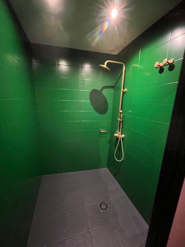 ein grünes Bad mit einer Dusche mit einem Apfel an der Wand in der Unterkunft Love Room 208 Appartement 30m2 in Lambersart