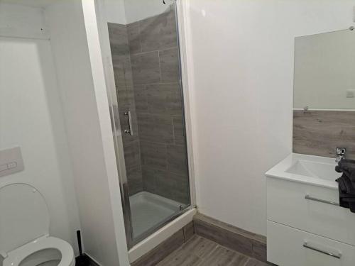 une salle de bain avec douche et toilettes dans l'établissement BudgetBnb 162, Studio opéra, à Toulon