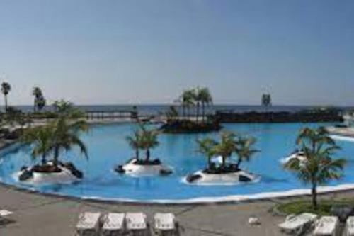 a large swimming pool with palm trees in a resort at Bright lovely quiet flat very centric in SC in Santa Cruz de Tenerife