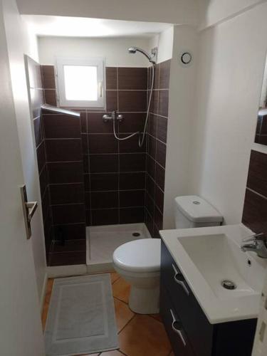 une salle de bain avec une douche, des toilettes et un lavabo dans l'établissement 185, Toulon petit duplex a deux pas de l'Opéra, à Toulon
