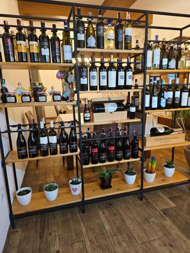 a shelf full of wine bottles in a store at Green Park Divjakë in Divjakë