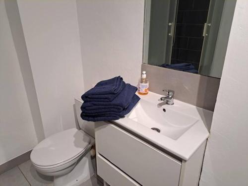 une salle de bain avec un lavabo, des toilettes et un miroir dans l'établissement BudgetBnb 282, studio centre-ville, à La Seyne-sur-Mer