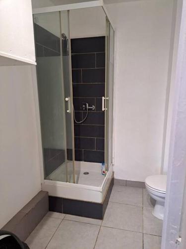 une salle de bain avec douche et toilettes dans l'établissement BudgetBnb 282, studio centre-ville, à La Seyne-sur-Mer