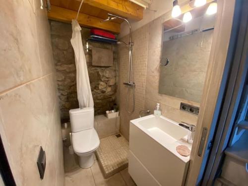 Olopte的住宿－Idílico refugio de montaña ideal escapadas，一间带卫生间和水槽的小浴室