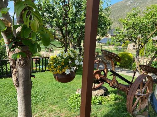 a garden with a flower pot hanging from a bike at Idílico refugio de montaña ideal escapadas in Olopte