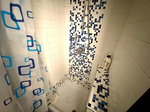 ナポリにあるCasetta San Martinoのバスルーム(青と白のタイル張りのシャワー付)