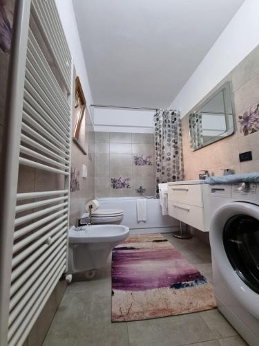 een badkamer met een wastafel, een toilet en een wasmachine bij Comfy House in Borşa