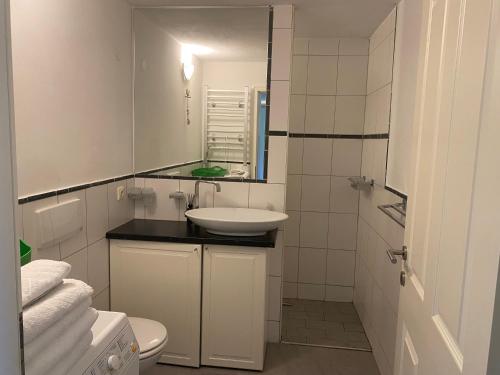 a white bathroom with a sink and a mirror at Mountain Apartment in Alterzoll