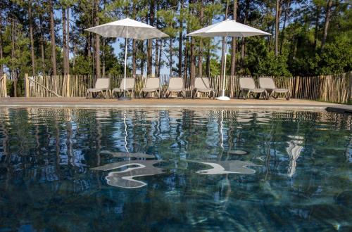 una piscina con sillas y sombrillas en Domaine de Pianiccia, en Favone