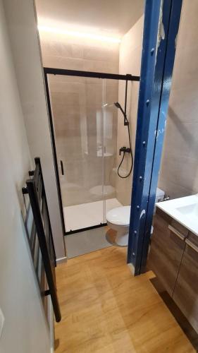 une salle de bain avec douche et toilettes dans l'établissement Le 12 saint Etienne neuf wifi app 04, à Saint-Étienne