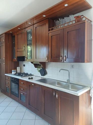 a kitchen with wooden cabinets and a sink at Campo del Gatto in Viterbo