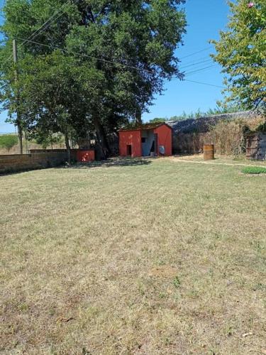 a large yard with a red shed and a tree at Campo del Gatto in Viterbo