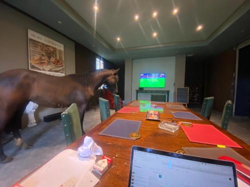 a horse standing next to a table with a laptop at The White House by Casona Lo Aguirre - El Monte RM in Talagante
