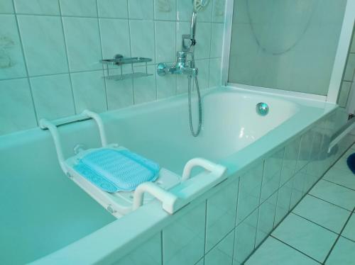a bath tub with a shower and a chair in it at Entspannen & Wohlfühlen in der Lüneburger Heide in Vierhöfen