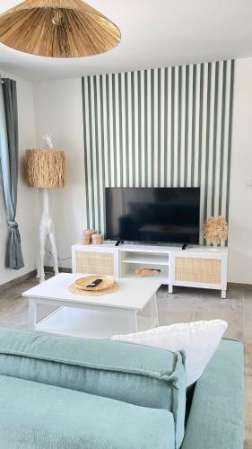 Una sala de estar con un sofá y un televisor. en Cocon Cosy : Gîte à 4 minutes du Zoo de Beauval, en Saint-Aignan