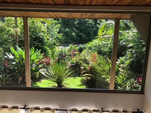 a window view of a garden seen from a kitchen at Casitas Del Rio Riverfront Nature Lodge in Uvita