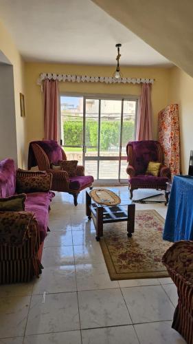 a living room with purple furniture and a large window at villa tulipe in Ain Sokhna