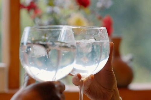 a person holding up a glass of white wine at Espíritus del Cañi. Tiny home y destilería in Pucón