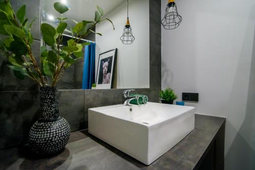 a bathroom with a white sink and a vase with a plant at Apartment in Vilnius Center in Vilnius
