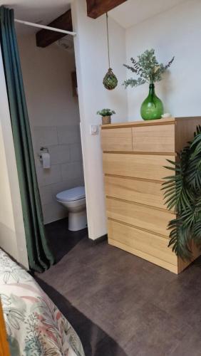 a bathroom with a toilet and a green vase on a dresser at appartement pour 4 avec terrasse in Chanos-Curson