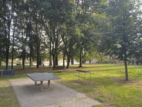 uma mesa de piquenique e um banco num parque em U Cioci em Cracóvia