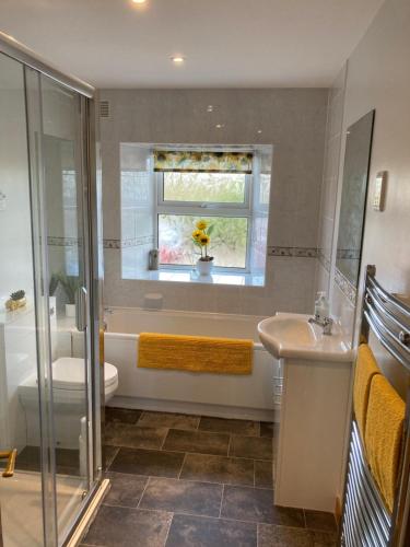 y baño con ducha, aseo y lavamanos. en Meikle Aucheoch Holiday Cottage, plus Hot Tub, Near Maud, in the heart of Aberdeenshire, en Peterhead