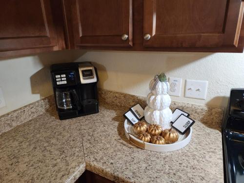 a kitchen counter with a bowl of onions next to a microwave at Spacious Villa close to the beach, 10 sleeps in Galveston