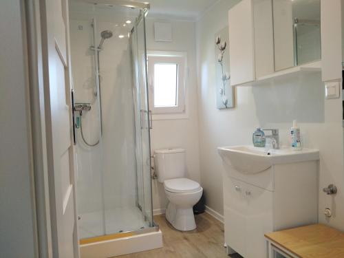 ein Bad mit einer Dusche, einem WC und einem Waschbecken in der Unterkunft Tiny Bungalow Visselhövede in Visselhövede
