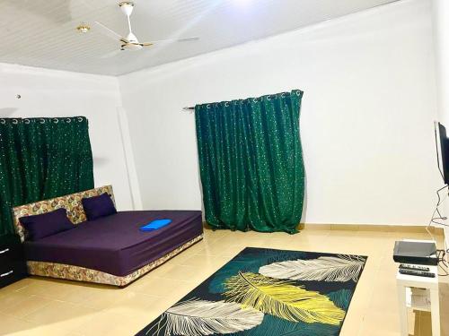 ein Wohnzimmer mit einem Sofa und grünen Vorhängen in der Unterkunft OLIVER COTTAGE GUESTHOUSE in Yamoransa