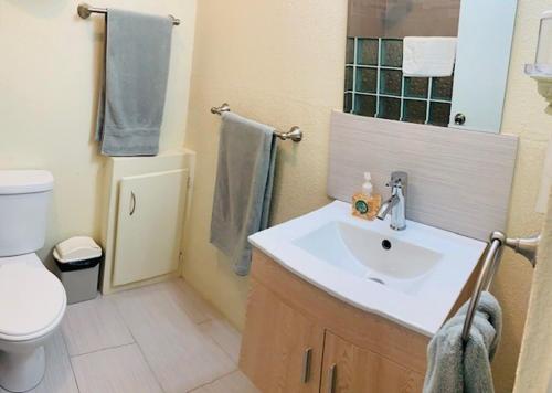 ein Bad mit einem Waschbecken und einem WC in der Unterkunft Apartment 1, Kenridge Residences in Saint James