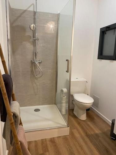 een badkamer met een douche en een toilet bij Narbonne : Logement idéalement situé in Narbonne