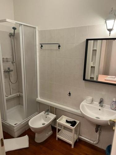 a bathroom with a sink and a toilet and a shower at Il Cielo di Lucio in Pisa