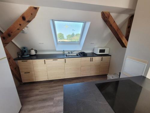 une cuisine avec un évier et une fenêtre dans l'établissement Gîte Au Calme, à Eglingen