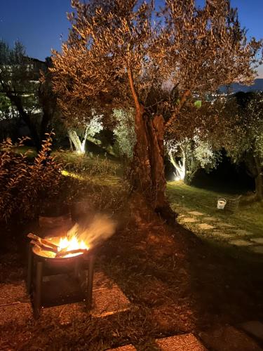 Jardín al aire libre en GLAMPING SUITE IL GRILLO