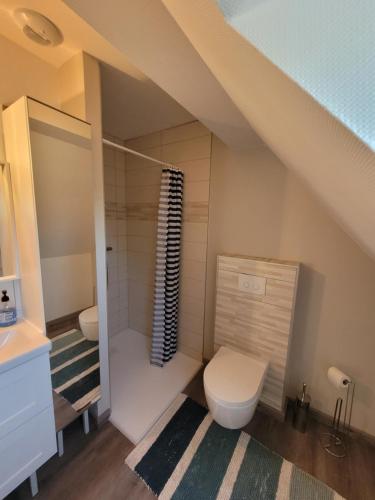 La salle de bains mansardée est pourvue de toilettes et d'un lavabo. dans l'établissement Gîte Au Calme, à Eglingen