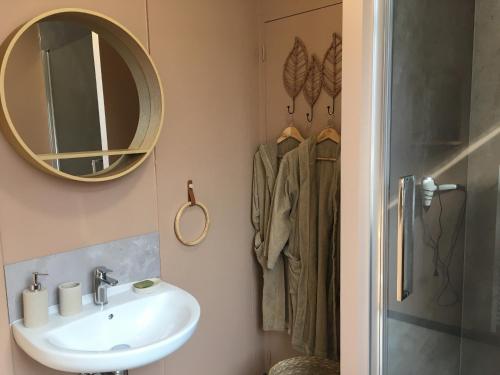 Wargnies-le-Grand的住宿－Suite Terracotta : Gîte de charme en Avesnois，一间带水槽和镜子的浴室
