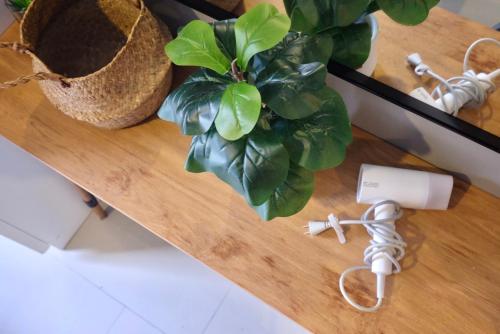 a wooden table with a plant on top of it at 7min BKK airport - free pick up - malls nearby in Bangkok