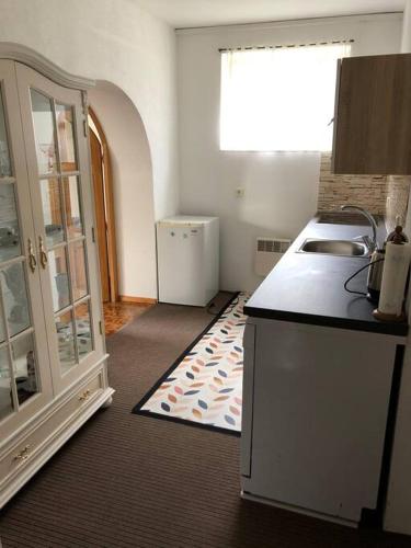 a kitchen with a sink and a counter top at Apartmán s terasou a zahradou na cyklostezce in Havlovice
