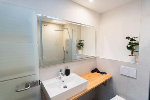 Ένα μπάνιο στο Loft in Eltville am Rhein - 2 DZ