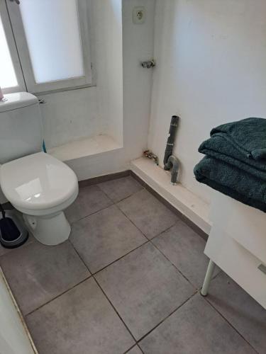 une salle de bain avec des toilettes blanches et une douche dans l'établissement BudgetBnb 34, Toulon sympathique studio a 2 pas de l'opéra, à Toulon