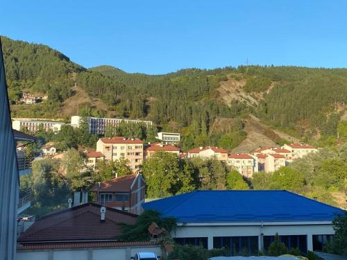 una ciudad con techo azul frente a una montaña en Eda Aparts, en Devin