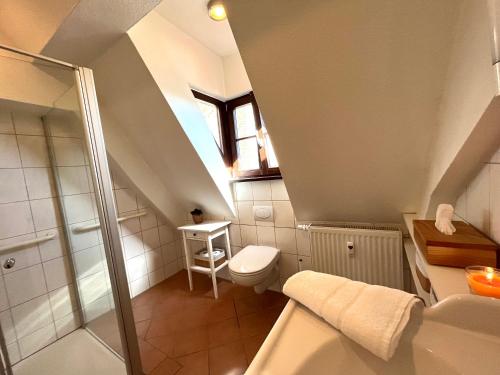 een badkamer op zolder met een toilet en een wastafel bij Kleines, feines Apartment in historischer Burg in Schlitz in Schlitz