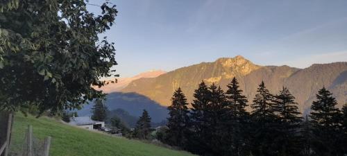 a view of a mountain range with trees and a house at Appartement CHENILLE charmant 2 pièces plein pied avec jardin et vue magnifique in Leysin
