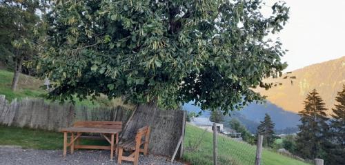 a wooden bench sitting next to a tree at Appartement CHENILLE charmant 2 pièces plein pied avec jardin et vue magnifique in Leysin