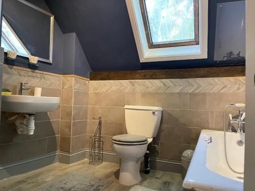 La salle de bains est pourvue de toilettes et d'un lavabo. dans l'établissement Stylish 2-bed cottage with secure parking, à Winforton