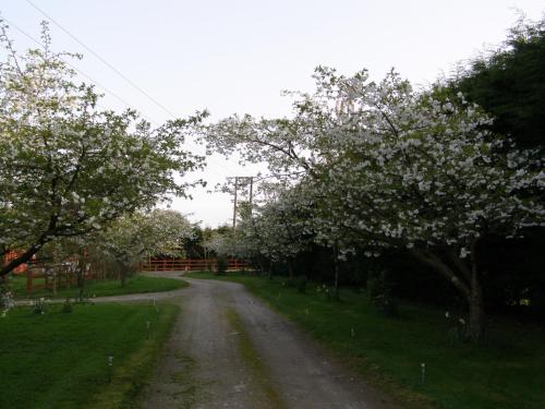 Gallery image of Killurin Lodge in Wexford