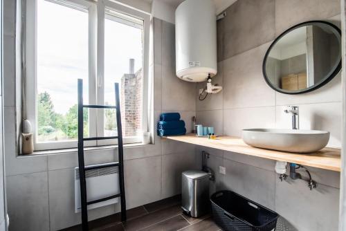 uma casa de banho com um lavatório e um espelho em Appartement Lumineux et cozy à LILLE Lomme em Lille